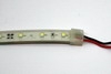 MS-CP-TWF 300L5M-CW       (DC12V 19,5W 300LED3528SMD 10,4 5 IP67) (8000-9000K   )  ,  (02380)