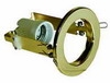 FT9238-50 Gd   Cветильник врезной под лампу накаливания/энергосберегающую R-50 (220V E14), золото, металл